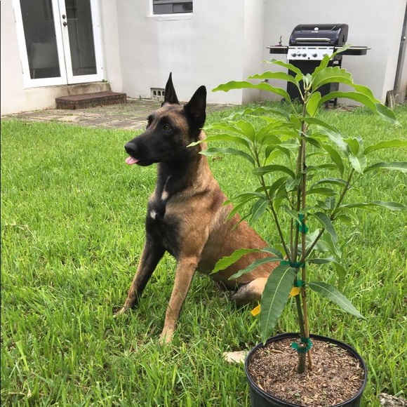 Meet your Posher, Nicolas - Picture 1 of 1